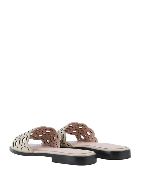 ESSENT COCCINELLE | E4U94170201N64 SANDSHELL